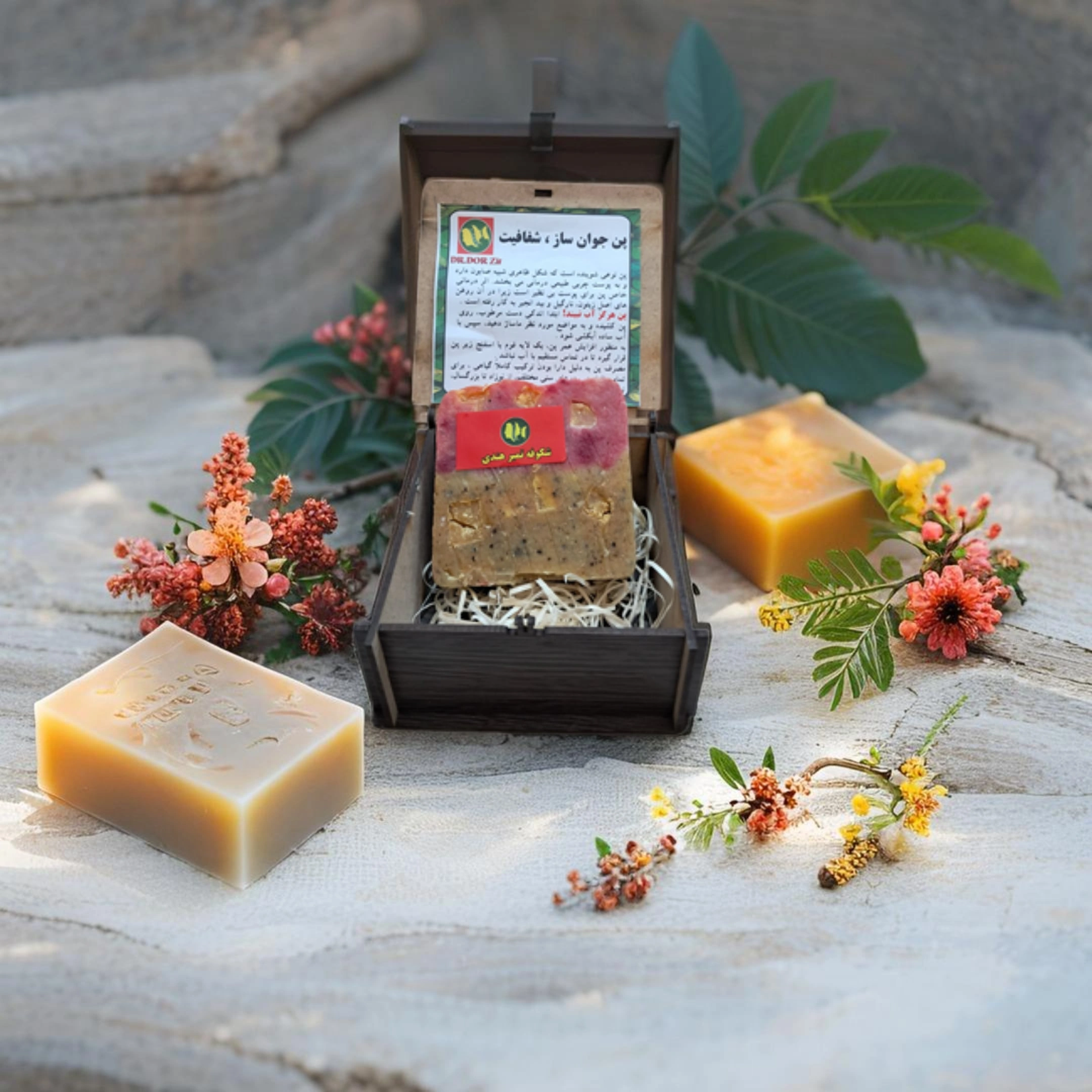 image_Pippit_202504301742 (31)-min (1).webp